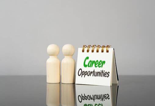 Social NET Consulting career opportunities